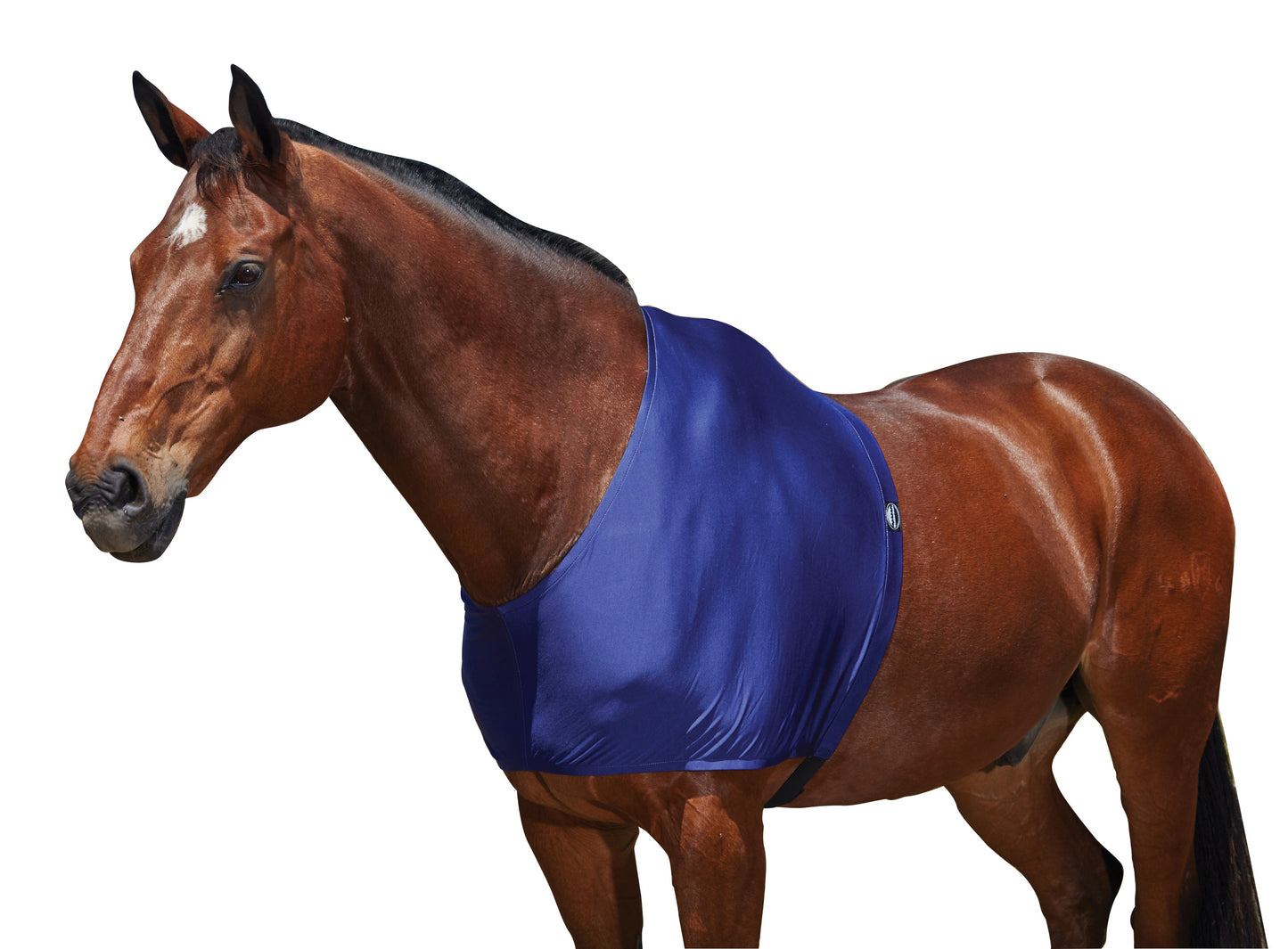 WeatherBeeta Stretch Shoulder Guard