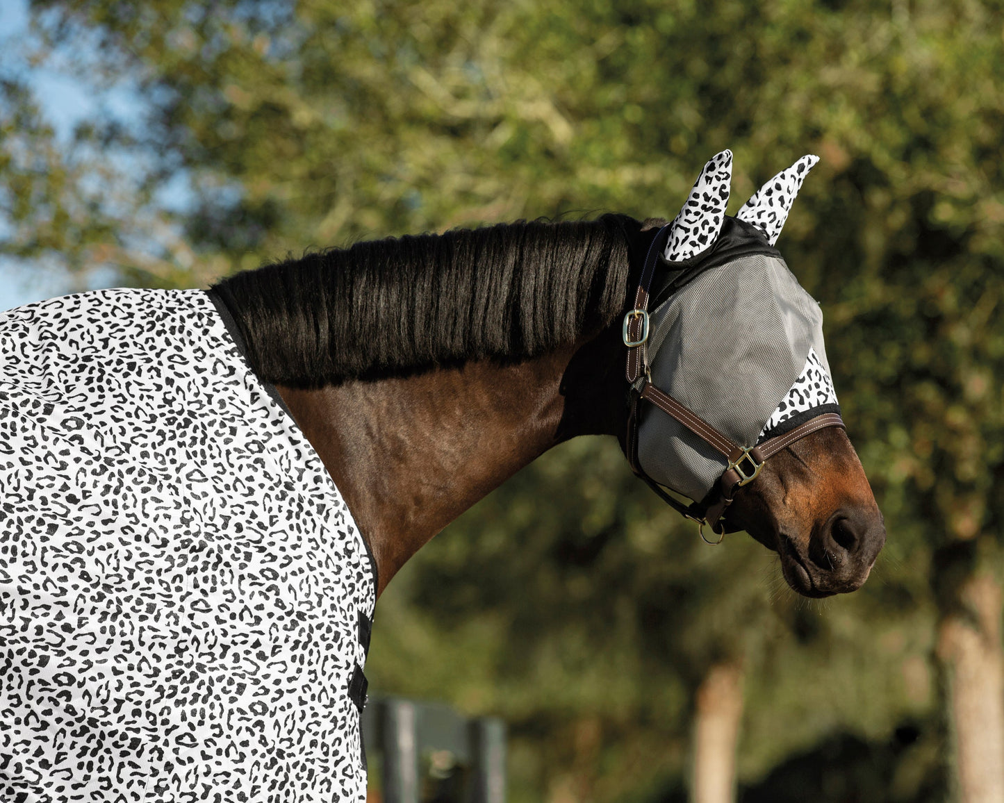 Riders International Safari Fly Sheet