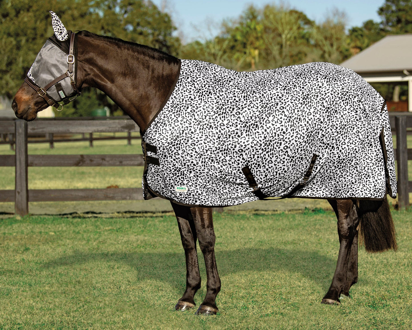 Riders International Safari Fly Sheet
