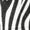 Riders International Safari Fly Sheet