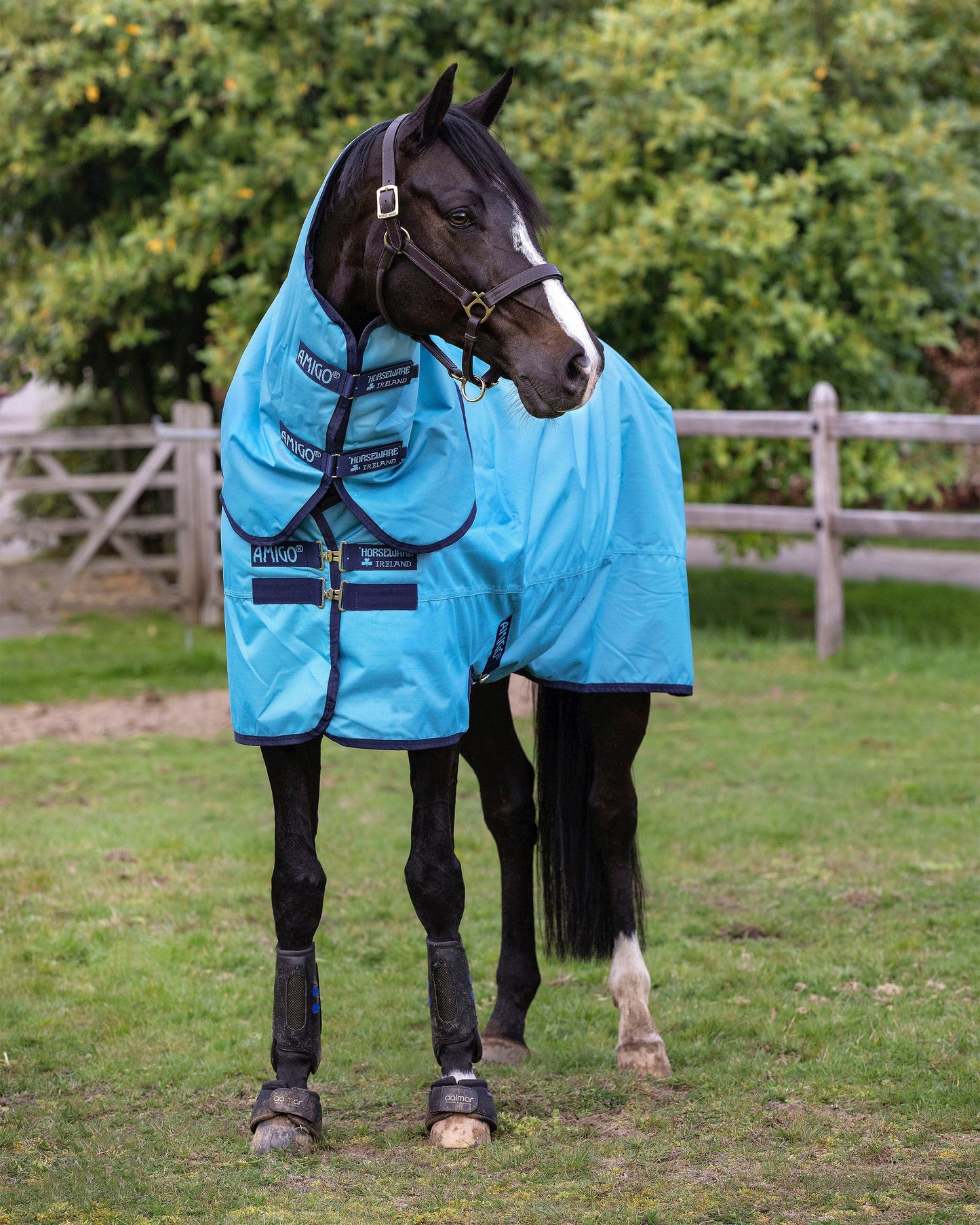 Horseware Ireland Amigo Hero Ripstop Plus 100 Gram Turnout Light Blanket