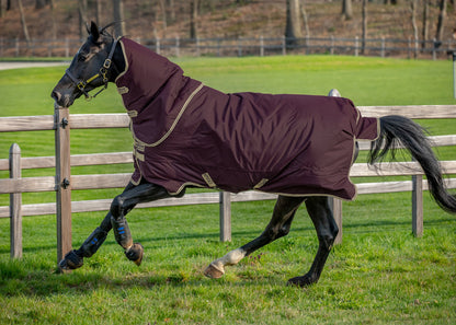 Horseware Ireland Amigo Hero Ripstop Plus 100 Gram Turnout Light Blanket