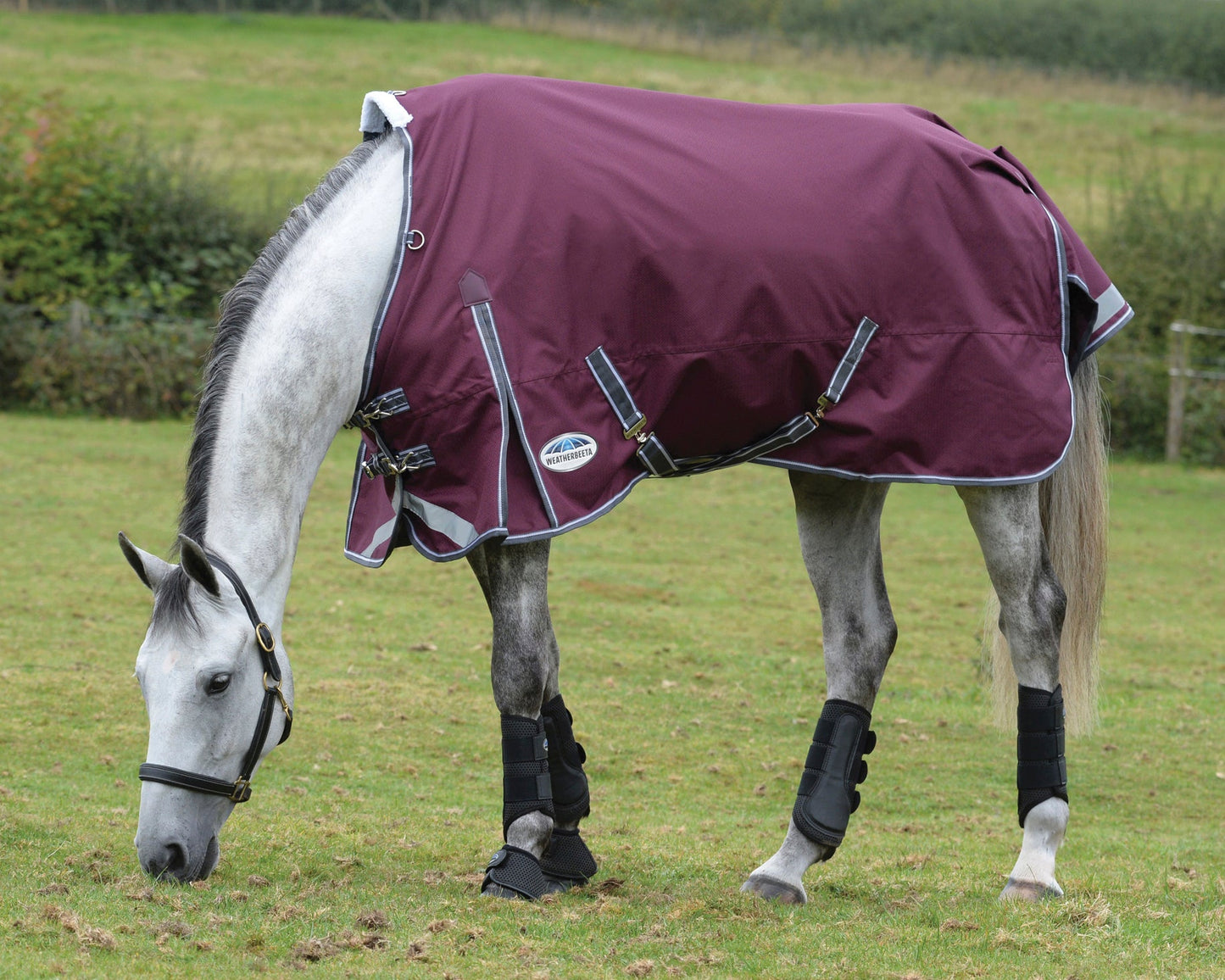 WeatherBeeta ComFiTec Plus Dynamic II Standard Neck Medium-Weight Turnout Blanket