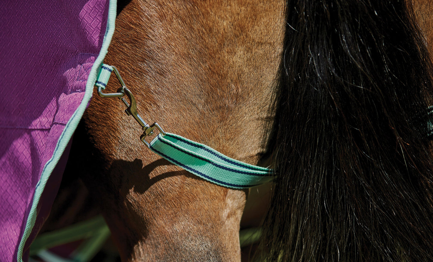 WeatherBeeta Pony ComFiTec Premier Free II Detach-A-Neck Medium-Weight Turnout Blanket