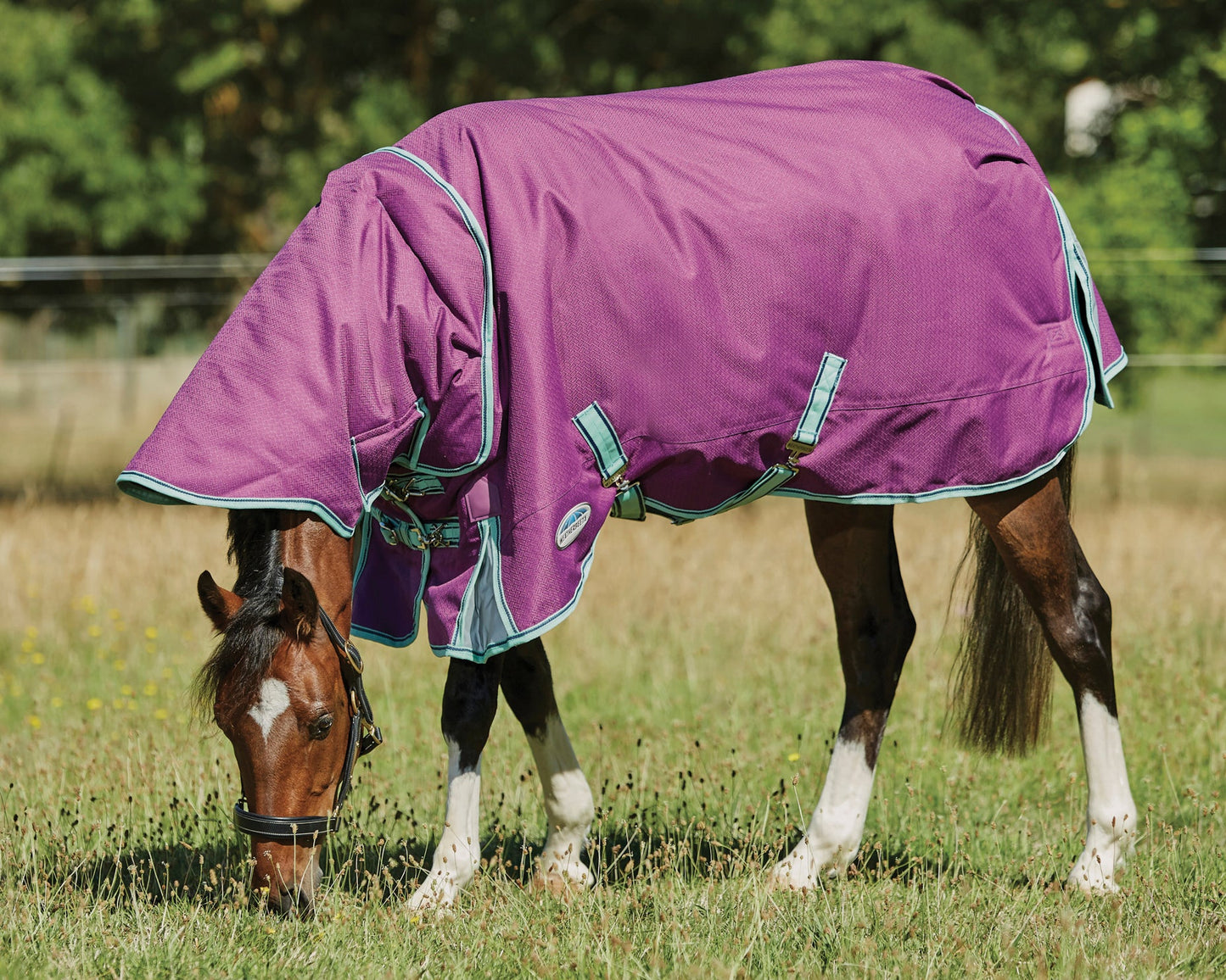 WeatherBeeta Pony ComFiTec Premier Free II Detach-A-Neck Medium-Weight Turnout Blanket