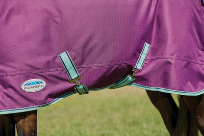 WeatherBeeta Pony ComFiTec Premier Free II Detach-A-Neck Medium-Weight Turnout Blanket