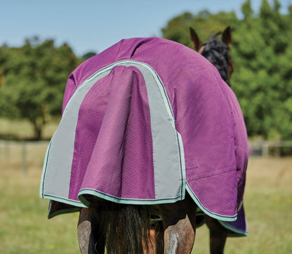 WeatherBeeta Pony ComFiTec Premier Free II Detach-A-Neck Medium-Weight Turnout Blanket