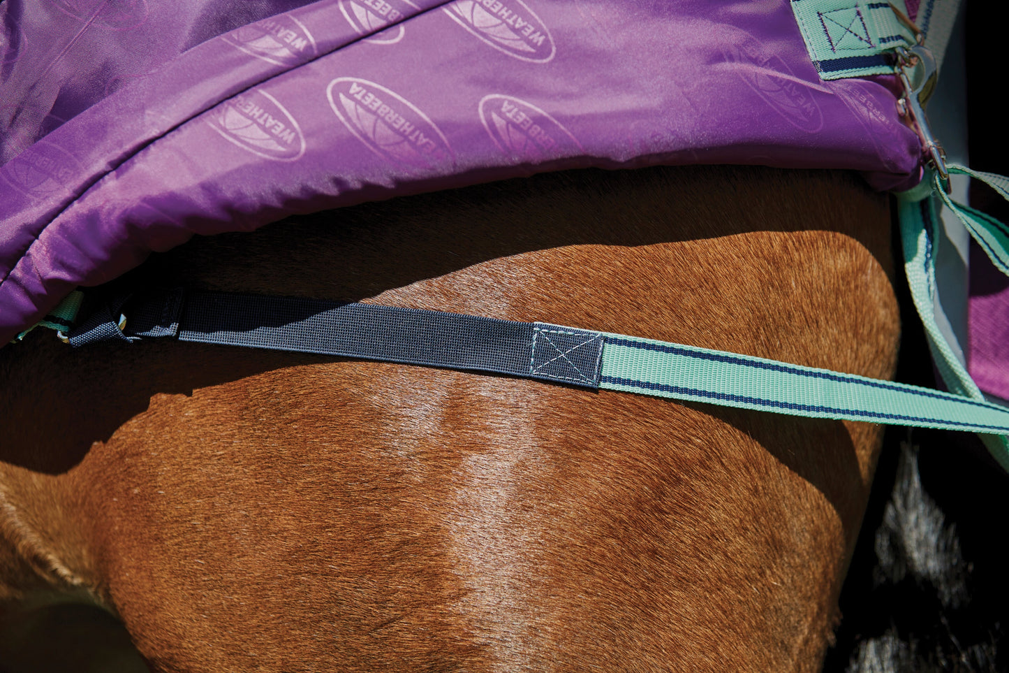 WeatherBeeta Pony ComFiTec Premier Free II Standard Neck Lite Turnout