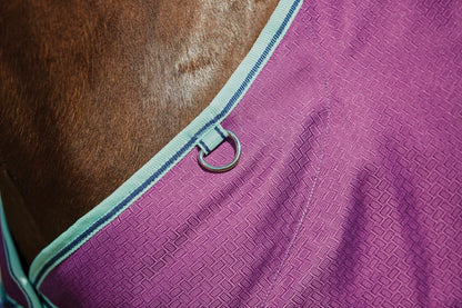 WeatherBeeta Pony ComFiTec Premier Free II Standard Neck Lite Turnout