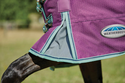 WeatherBeeta Pony ComFiTec Premier Free II Standard Neck Lite Turnout
