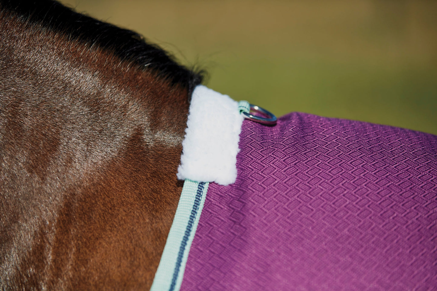WeatherBeeta Pony ComFiTec Premier Free II Standard Neck Lite Turnout