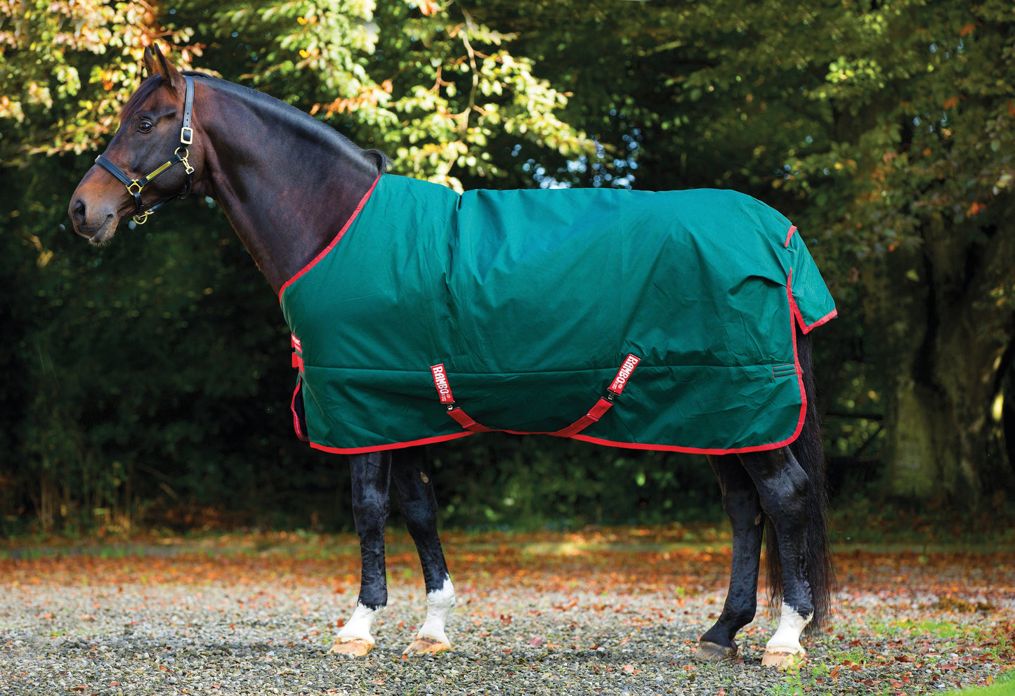 Horseware Ireland Rambo Original 1000D Heavyweight Turnout–400G