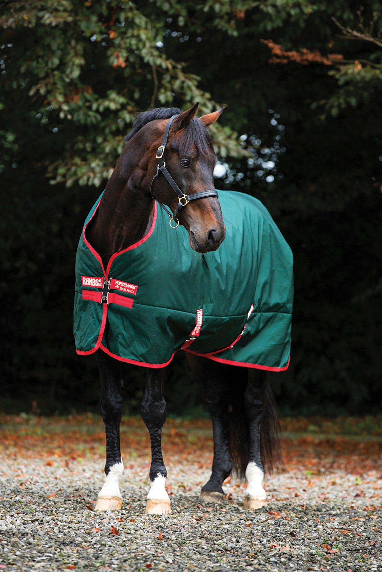 Horseware Ireland Rambo Original 1000D Heavyweight Turnout–400G