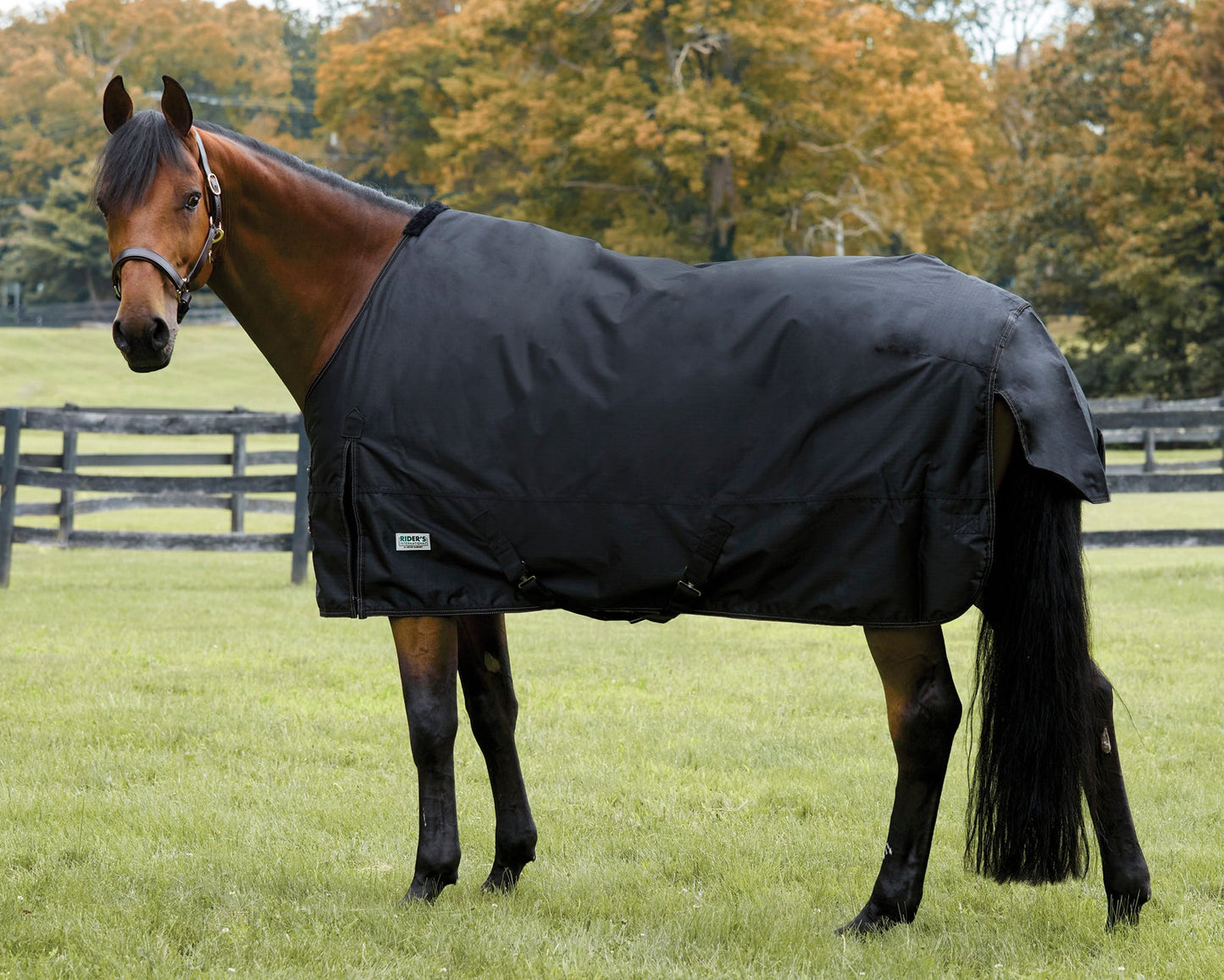 Rider’s International Heavyweight Turnout Blanket