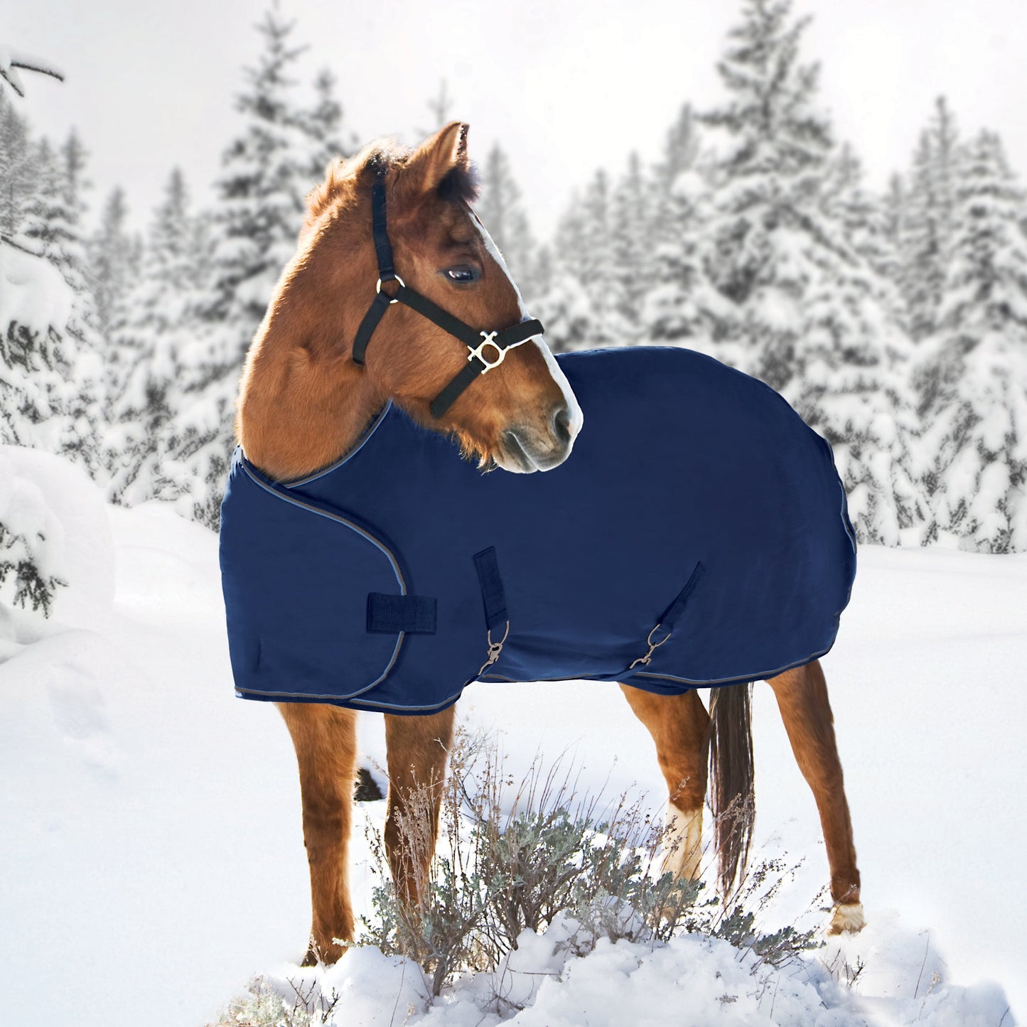 Kensington Adjustable Weanling Turnout Blanket