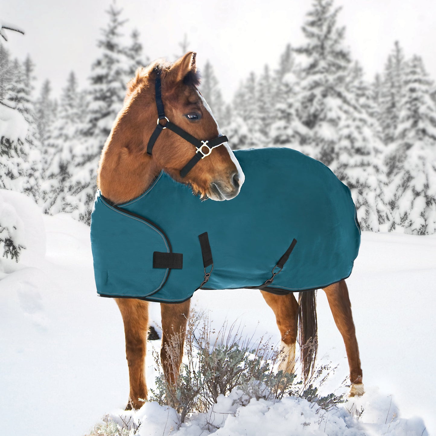 Kensington Adjustable Weanling Turnout Blanket