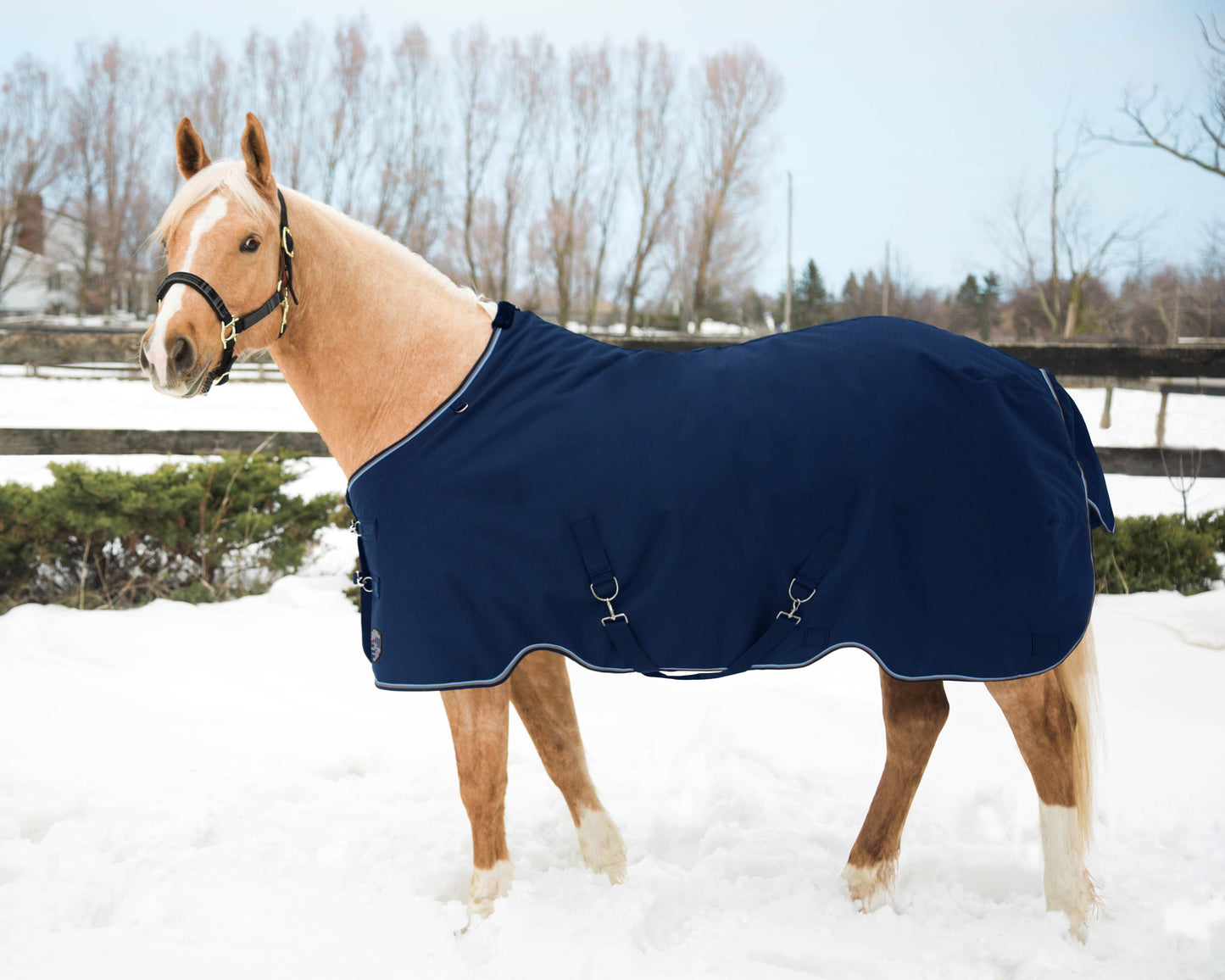 Kensington Signature Lightweight Turnout Blanket