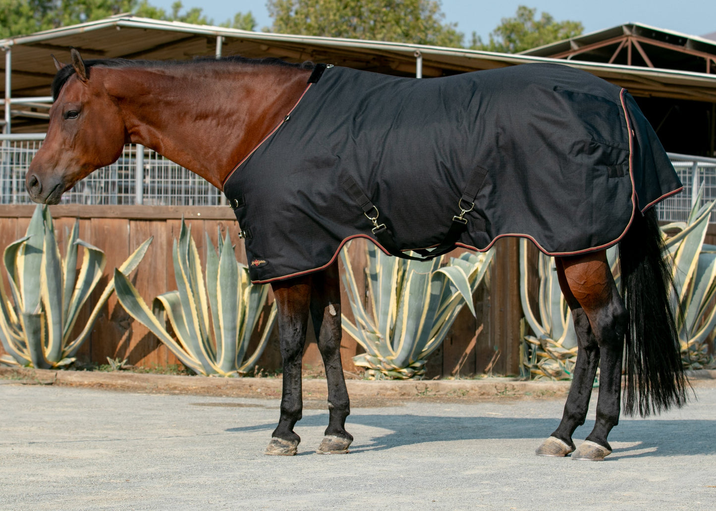 Kensington Signature Lightweight Turnout Blanket