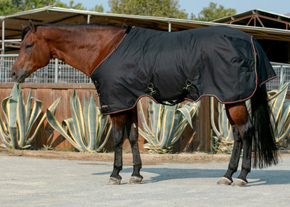 Kensington Signature Lightweight Turnout Blanket