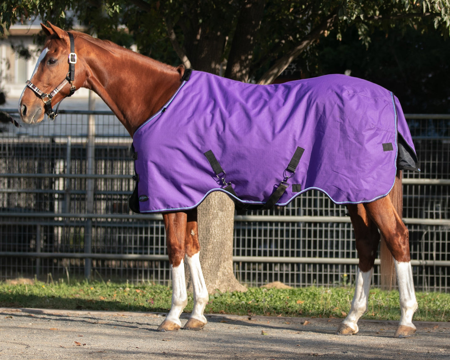 Kensington Signature Lightweight Turnout Blanket