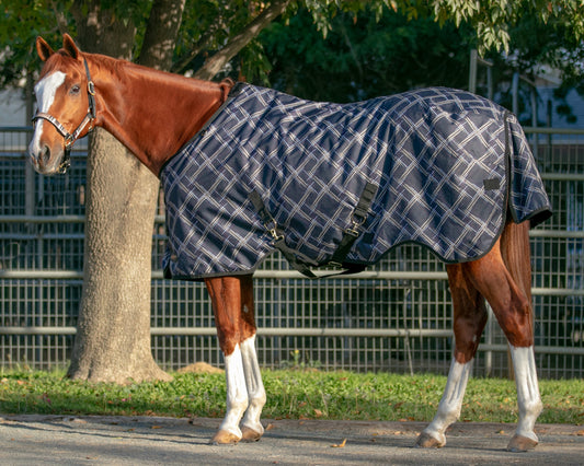 Kensington Signature Lightweight Turnout Blanket