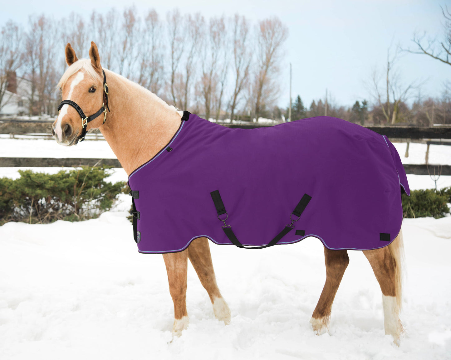 Kensington Pony Signature Heavyweight Turnout Blanket