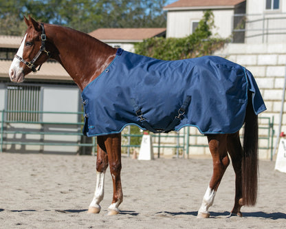 Kensington Signature Heavyweight Turnout Blanket