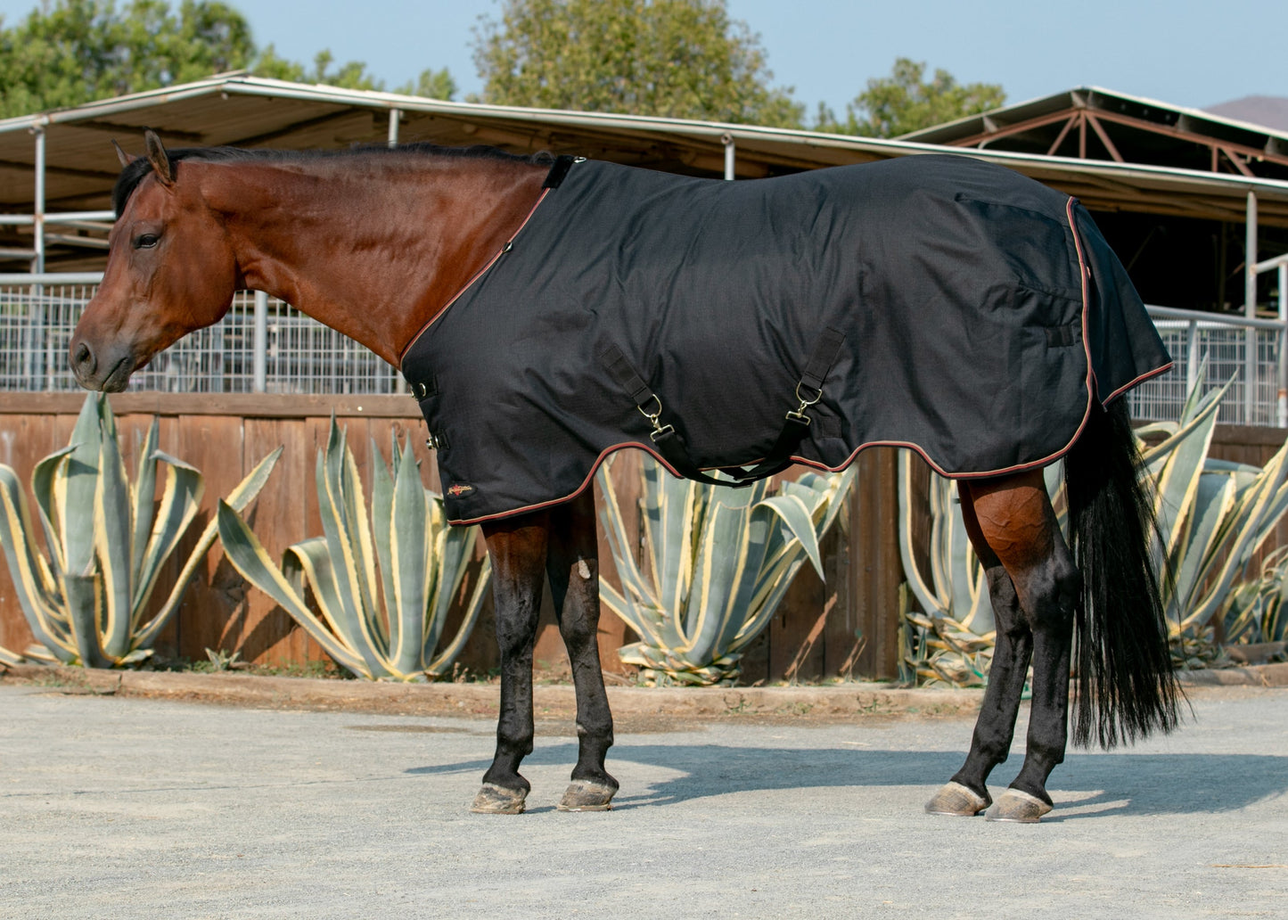 Kensington Pony Signature Heavyweight Turnout Blanket