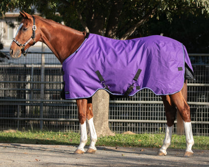 Kensington Signature Heavyweight Turnout Blanket