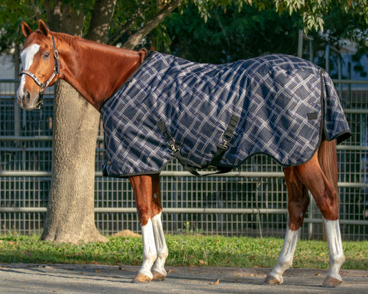 Kensington Signature Heavyweight Turnout Blanket