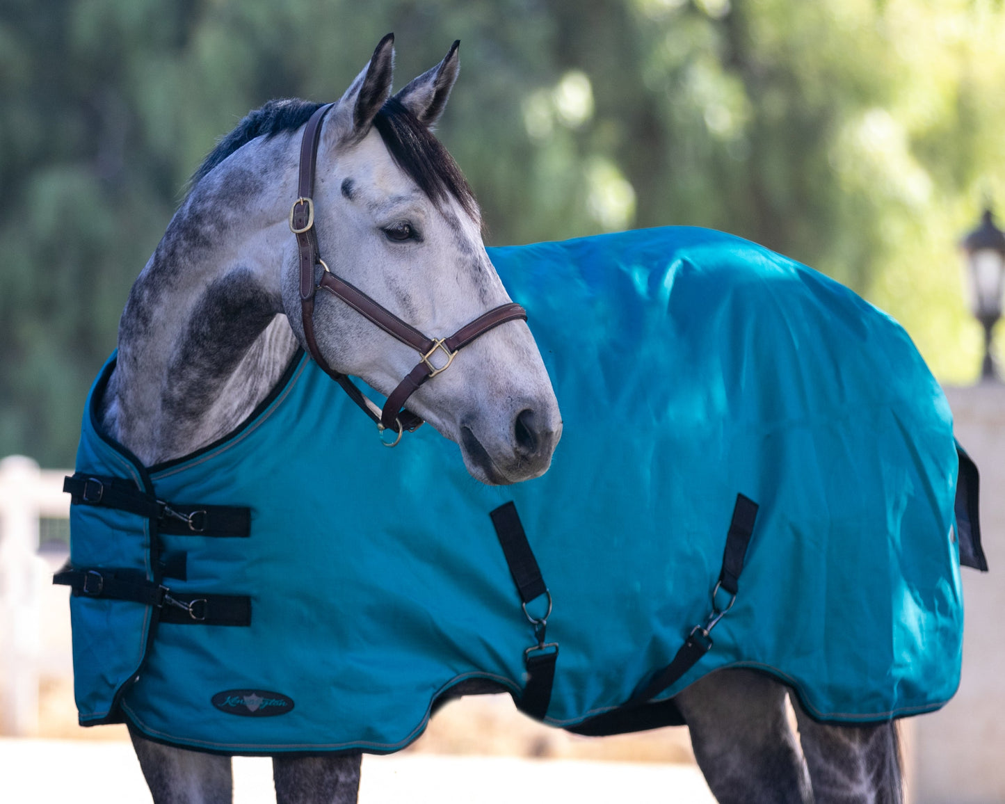 Kensington Signature Heavyweight Turnout Blanket