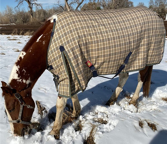5/A Baker Extreme 555 Gram Turnout Blanket