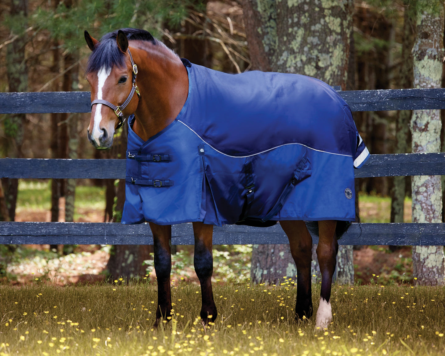 NorthWind Heavyweight Turnout Blanket