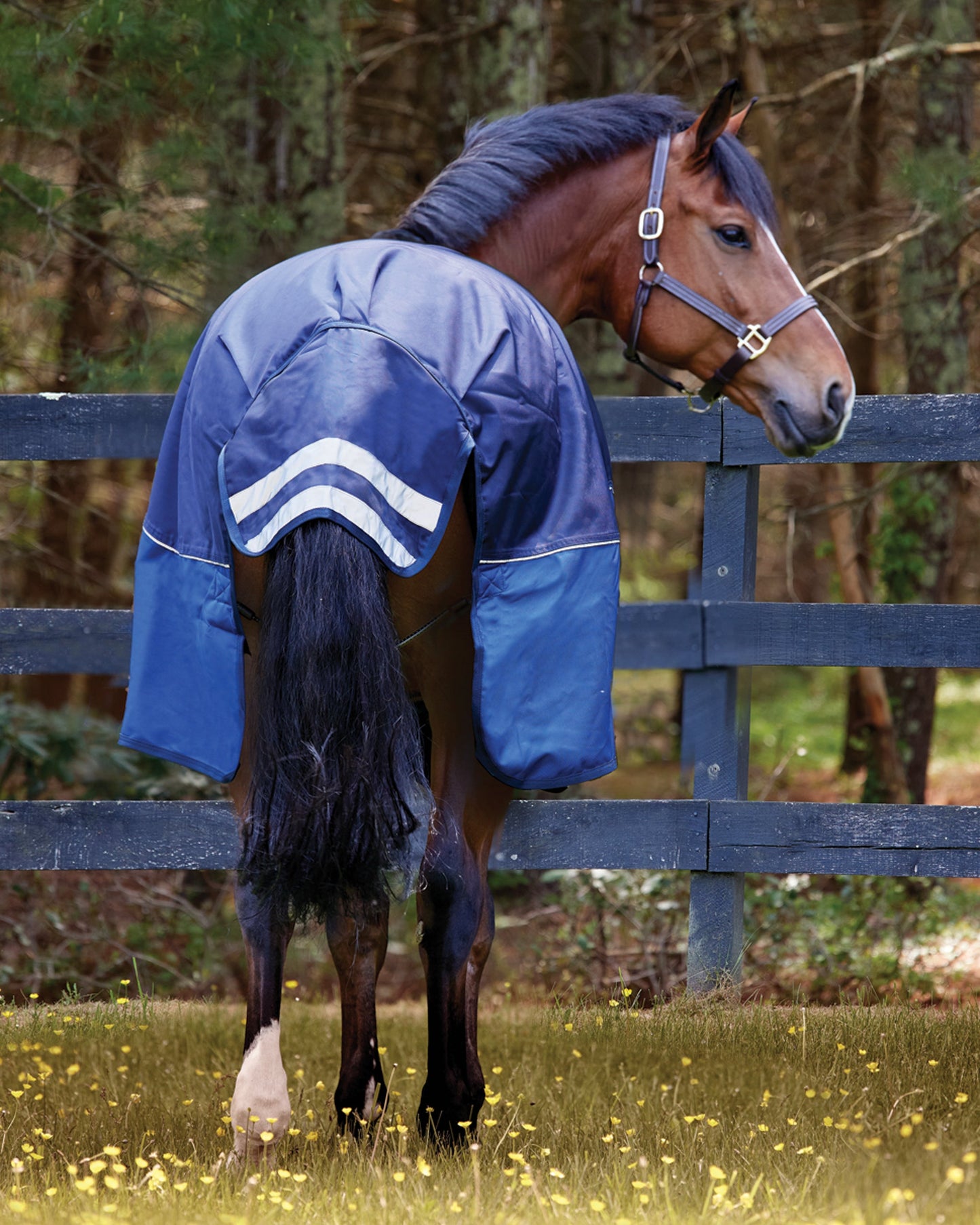 NorthWind Light-Weight Turnout Blanket with Detachable Neck–100 grams