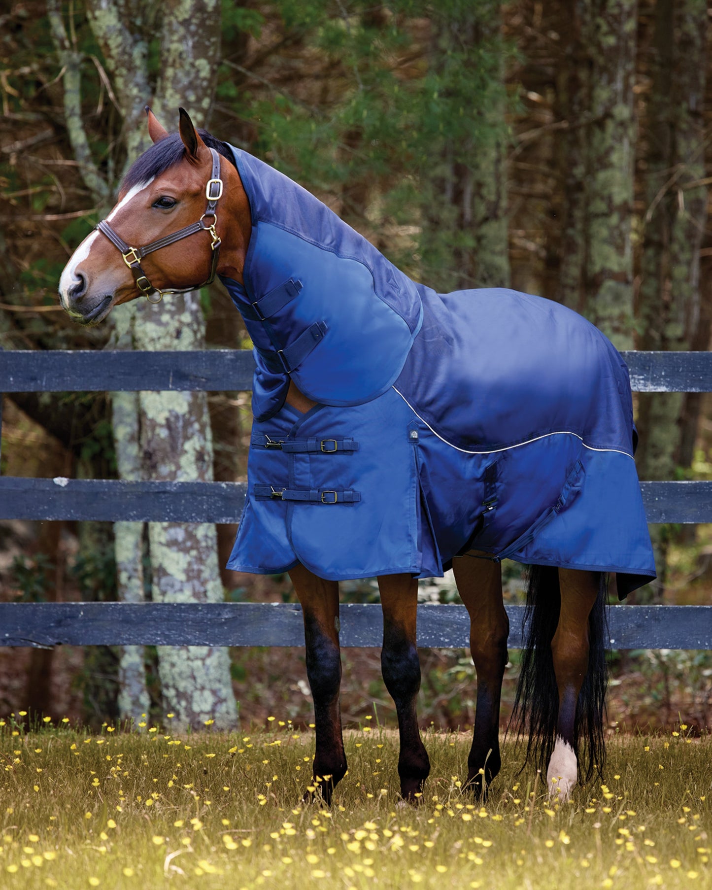 NorthWind Light-Weight Turnout Blanket with Detachable Neck–100 grams