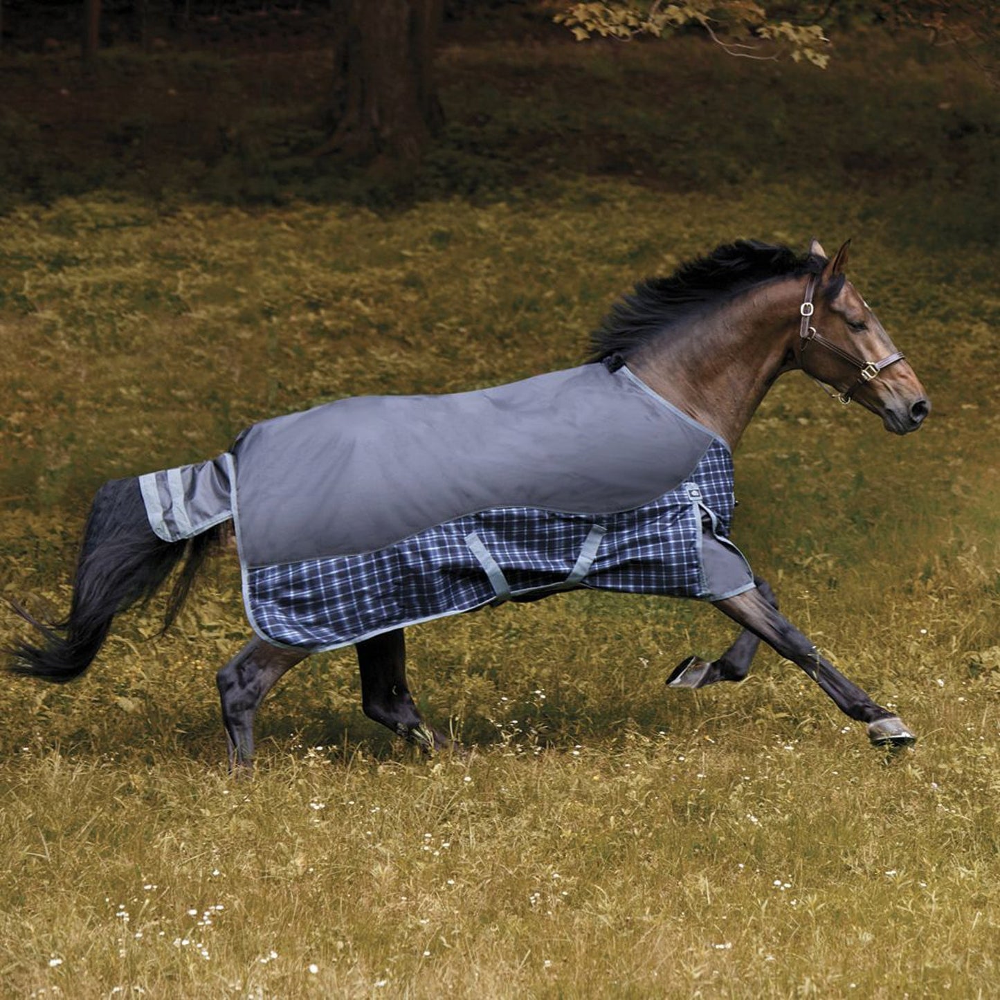 NorthWind Heavyweight Turnout Blanket
