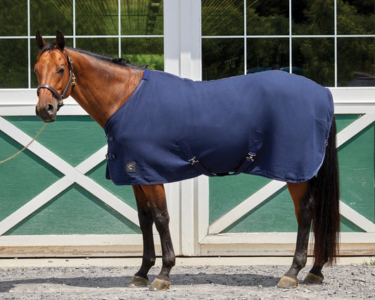 Rider’s International Chill Chaser