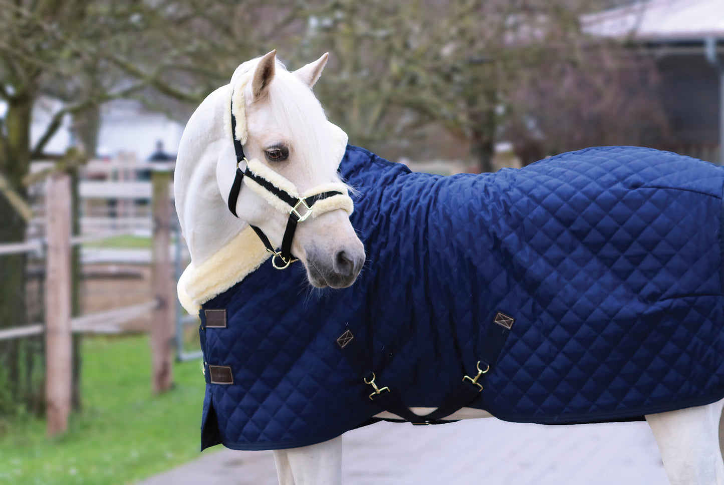 Kentucky Horsewear Show Rug