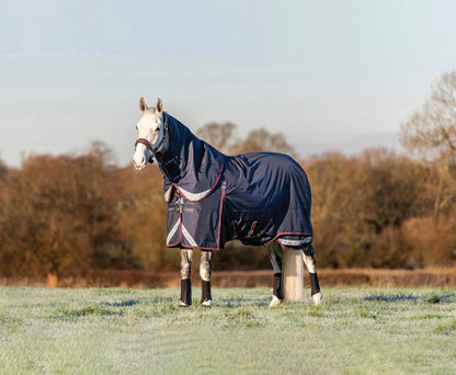 LeMieux Kudos 200 Gram Turnout Blanket