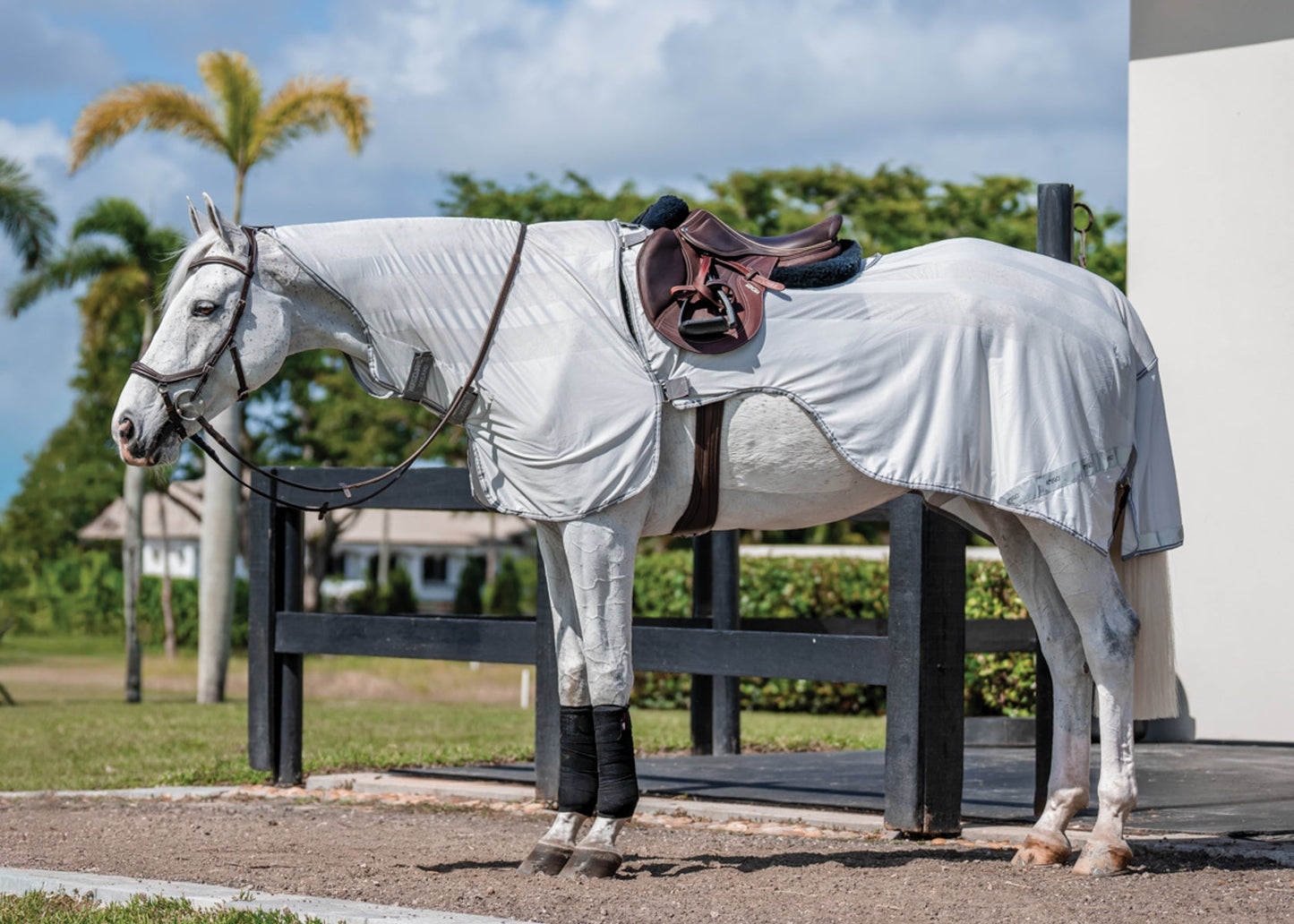 Horseware Ireland Amigo Flyrider