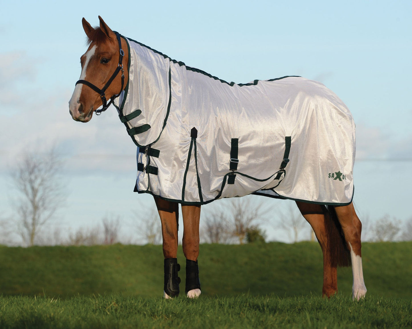 Saxon Mesh Fly Sheet with Combo Neck & Belly Wrap