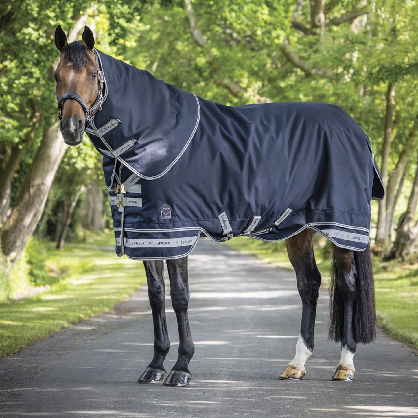 LeMieux Arika Storm-Tek 100 Gram Turnout Blanket with Leg Straps