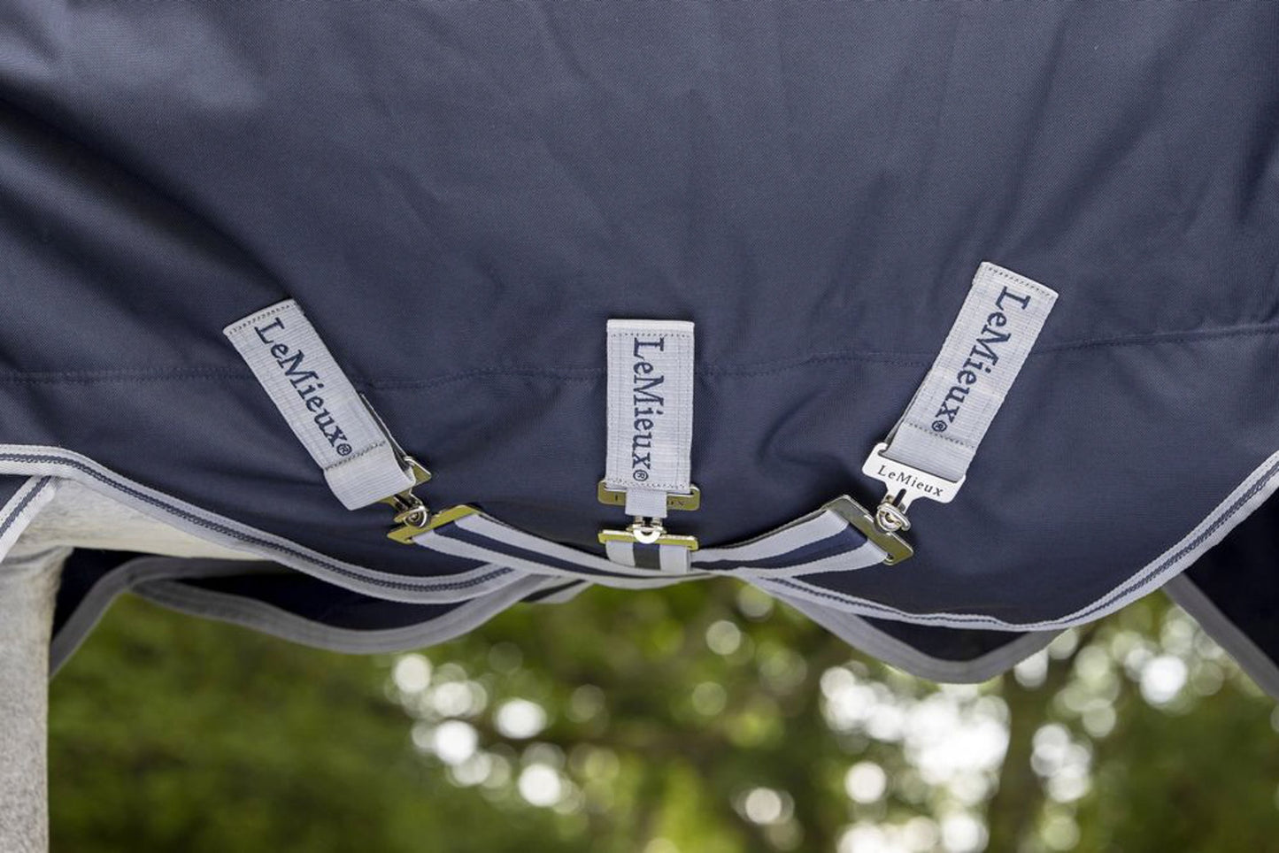 LeMieux Arika Storm-Tek 100 Gram Turnout Blanket with Leg Straps