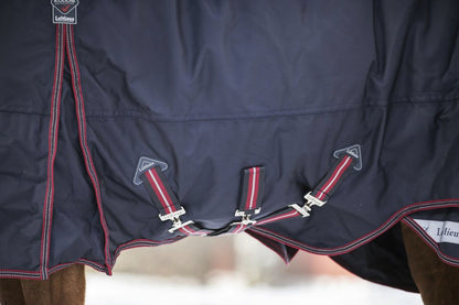 LeMieux Kudos 100 Gram Turnout Blanket with Leg Straps