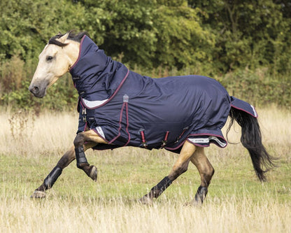 LeMieux Kudos 100 Gram Turnout Blanket with Leg Straps