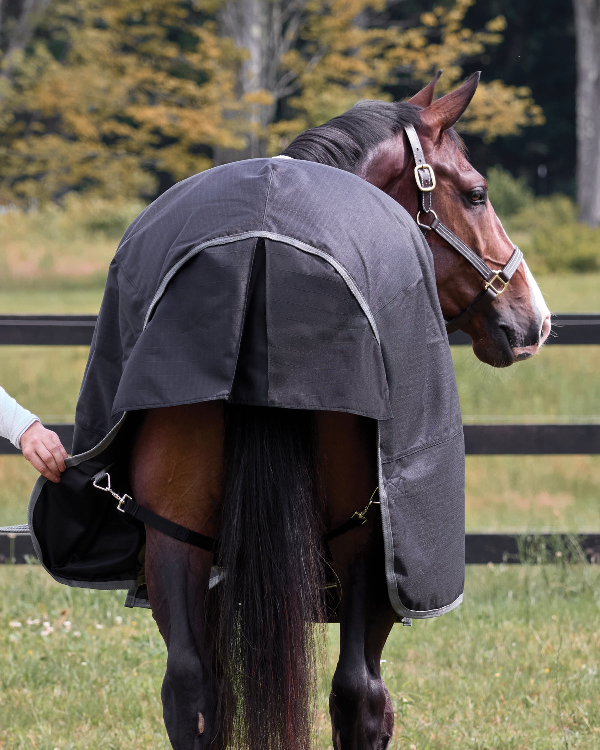 Rider’s International Supreme 100 Gram Turnout Blanket