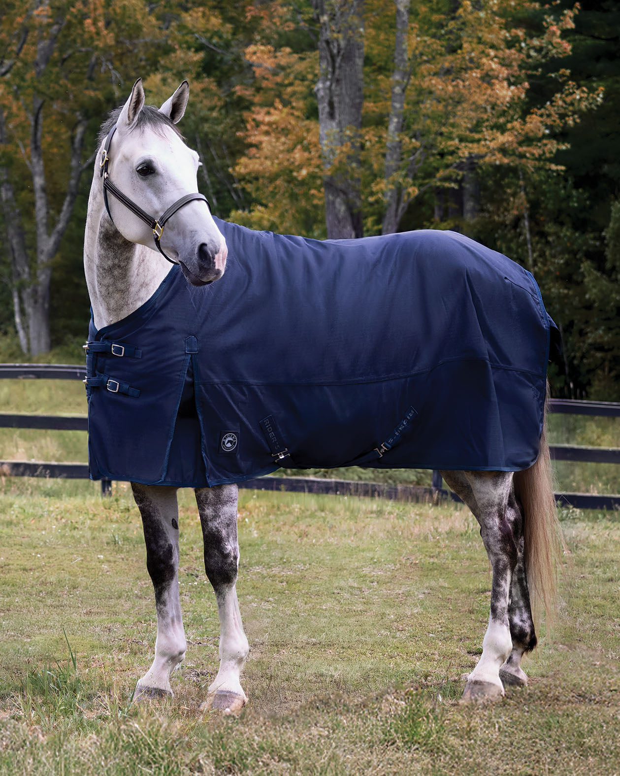 Rider’s International Supreme 100 Gram Turnout Blanket