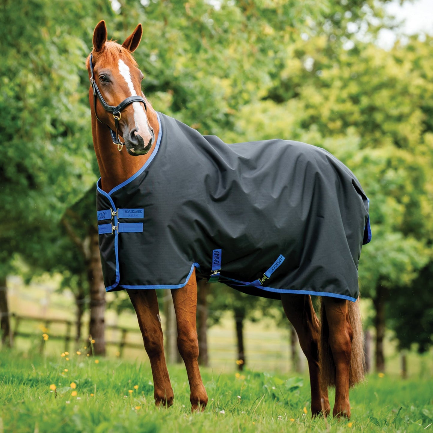 Horseware Ireland Amigo Ripstop 900D 200 Gram Standard Neck Turnout