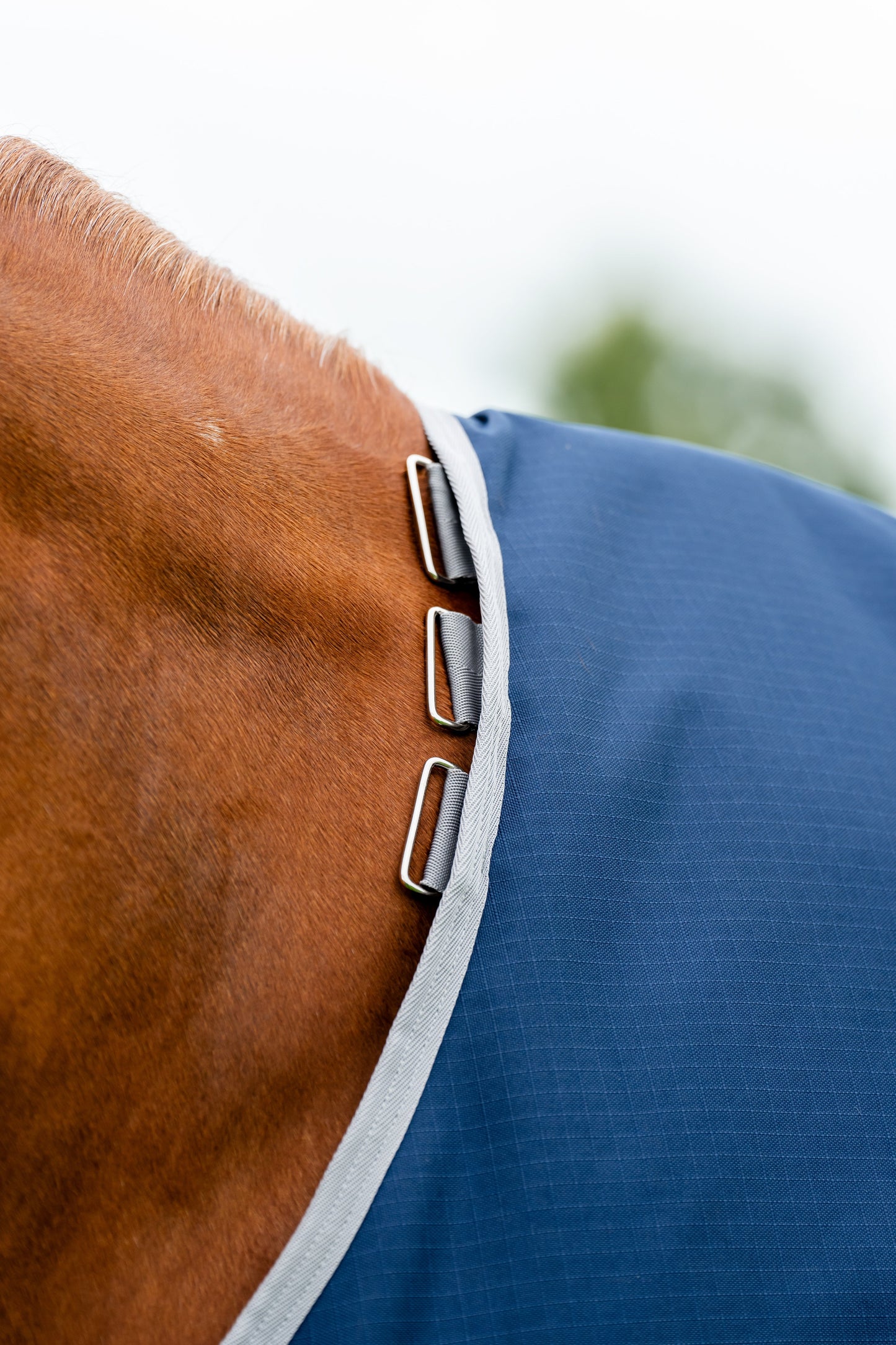 Horseware Ireland Amigo Ripstop 900D 100 Gram Standard Neck Turnout