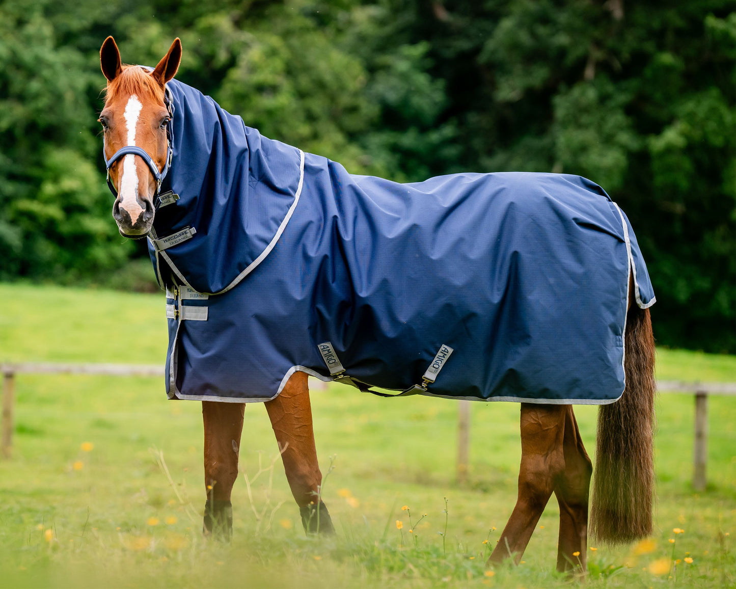 Horseware Ireland Amigo 900D Ripstop Plus Turnout-100-Grams